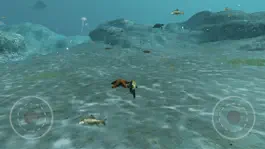 Game screenshot Real Fish Simulator apk