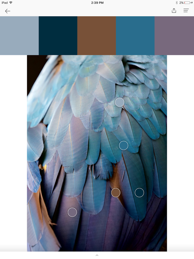 ‎PANTONE Studio スクリーンショット