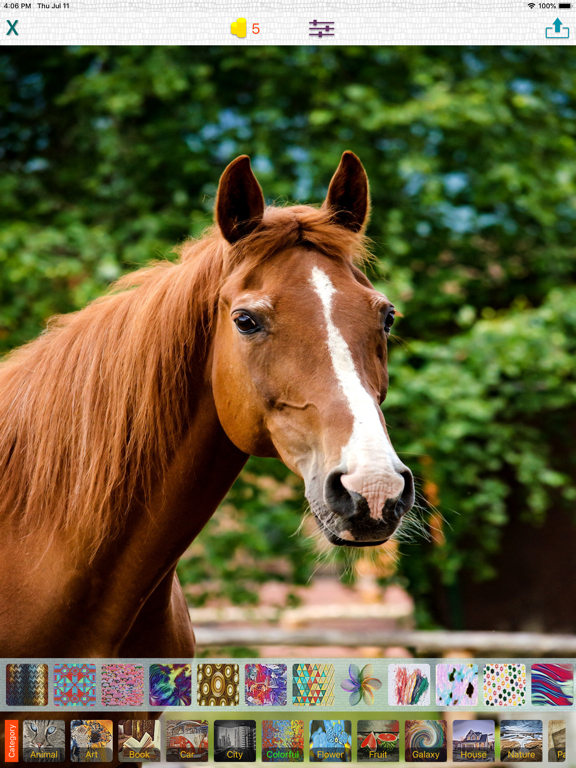 Picselart - Art Effect iPad screenshot 4 - Photo & Video app