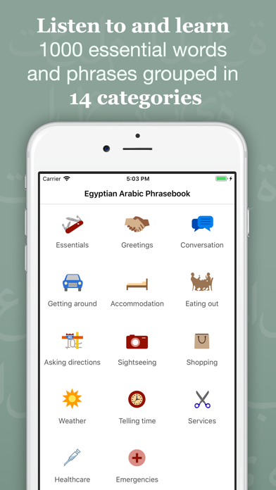 Screenshot #3 pour Easy Egyptian Arabic