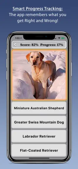 Game screenshot Dogs apk