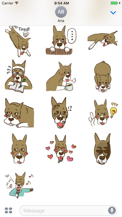 Manly Boy A Boxer Dog Sticker