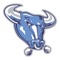 The NTX Bulls app provides parents and coaches all of the tools they need to participate in their team