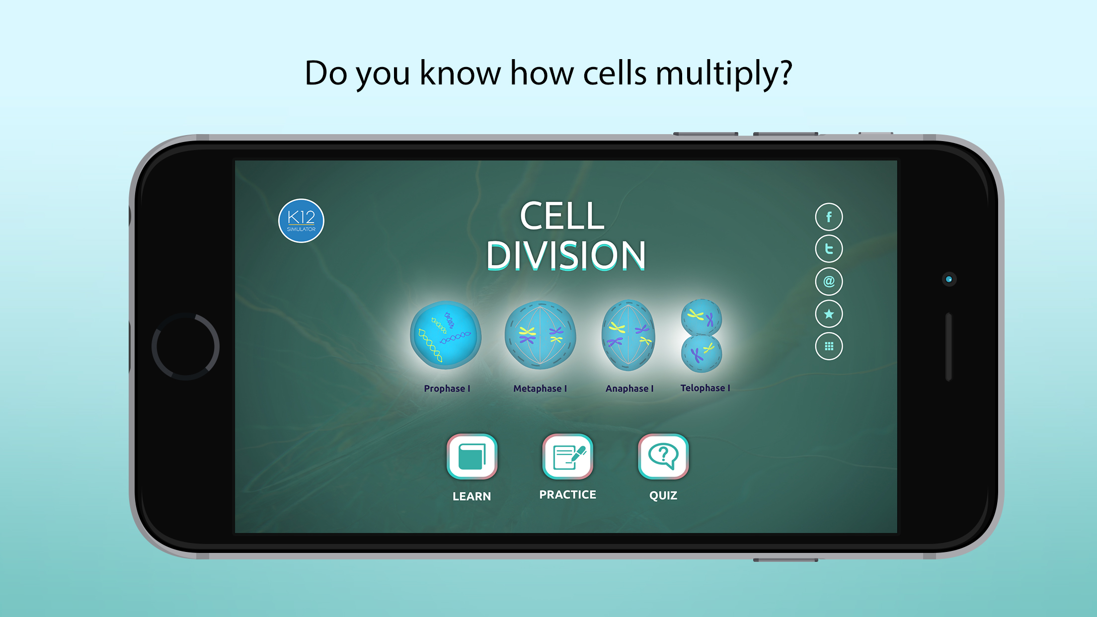 Process of Cell Division