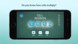 process of cell division problems & solutions and troubleshooting guide - 3