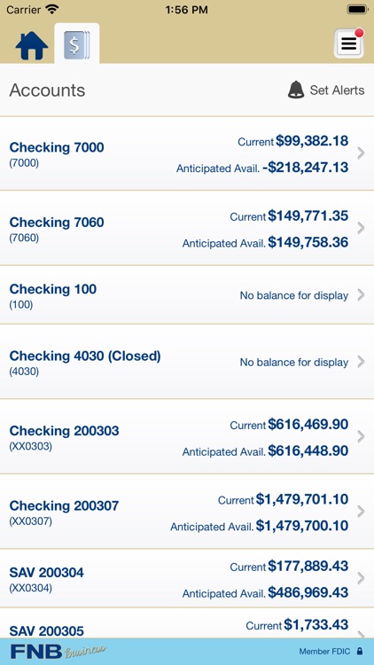 FNB Community Bank Business screenshot-3