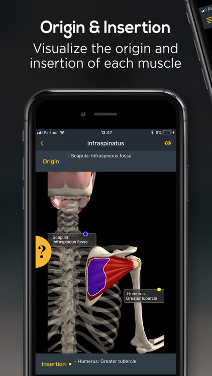 Anatomy by Muscle & Motion screenshot-5