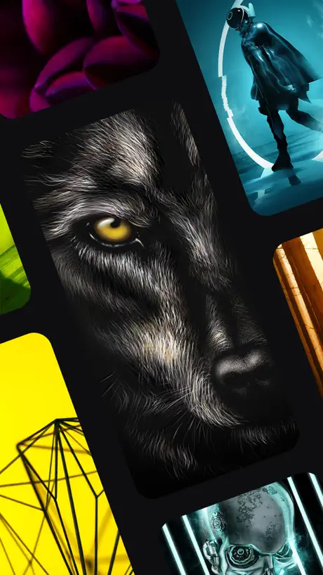 24KLiveWallpapers
