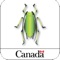 "The Cereal Aphid Manager is an easy-to-use mobile app that helps farmers and crop advisors control aphid populations in wheat, barley, oat or rye