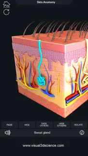 my skin anatomy iphone resimleri 4