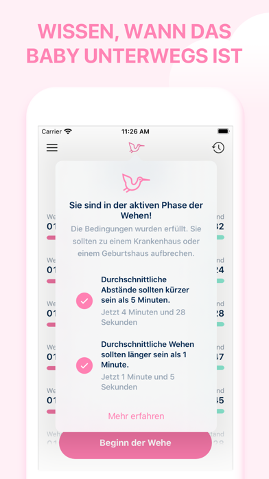 Storky - Wehentimer screenshot 4