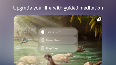 Flowing ~ Meditation & Mindfulness screenshot 4