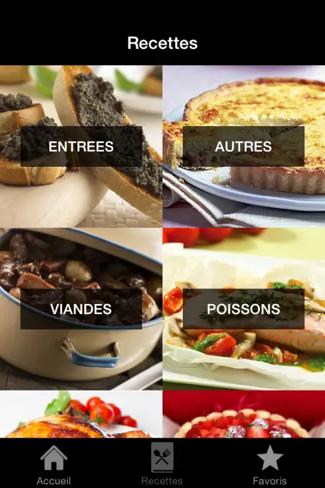 Recettes de cuisine française