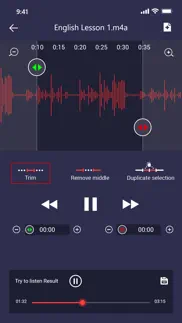 voice recorder: audio editor iphone screenshot 2