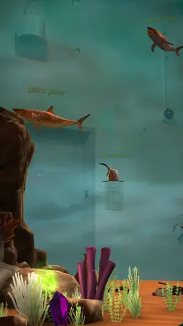 Game screenshot Oasis Live apk