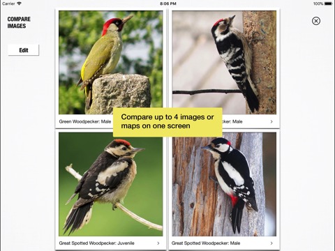 Birds of Britain Pocket Guideのおすすめ画像2