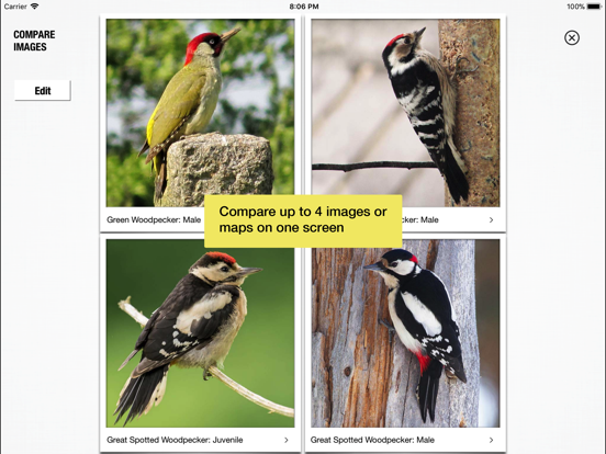 Screenshot #5 pour Birds of Britain Pocket Guide