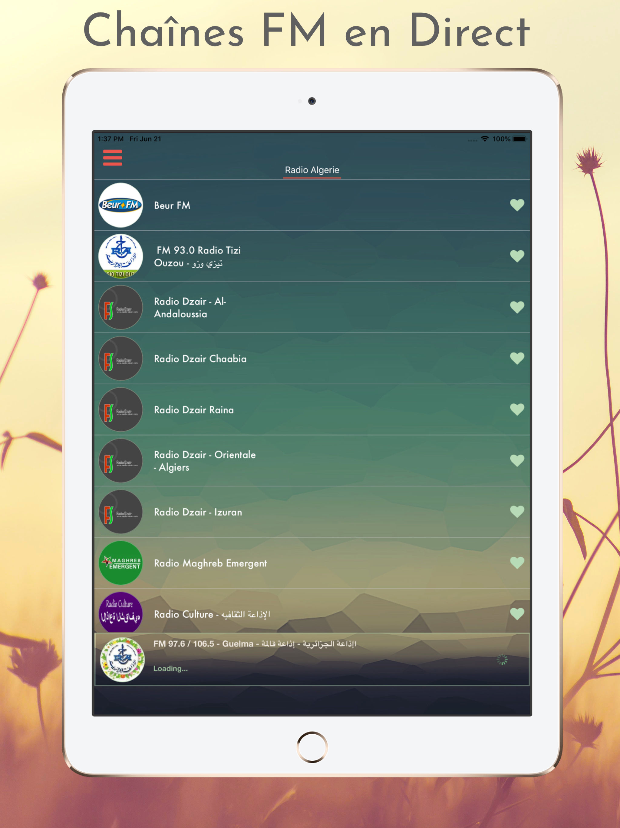 Radio Algerie screenshot 8