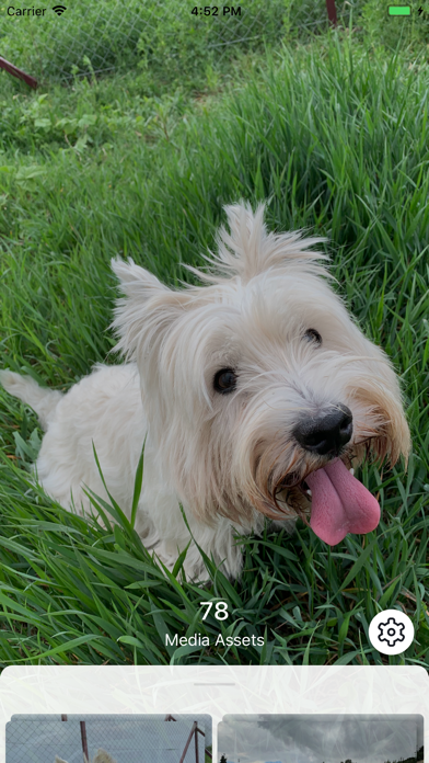 PicDot iPhone screenshot 1 - Photo & Video app