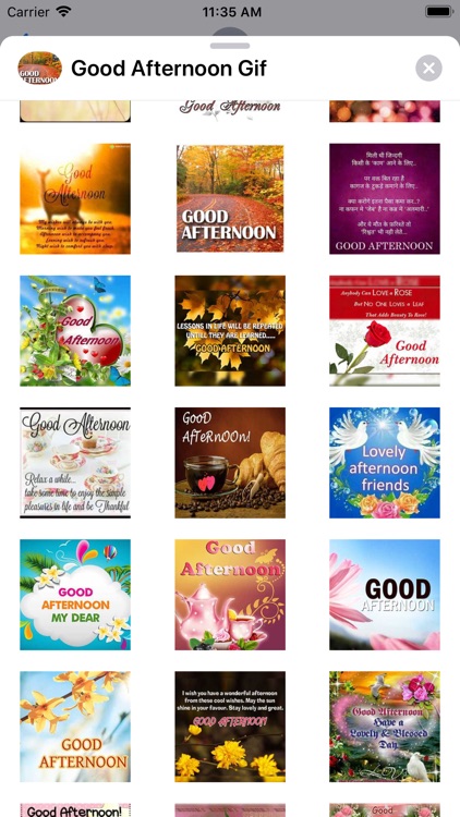 Good Afternoon Gif screenshot-5