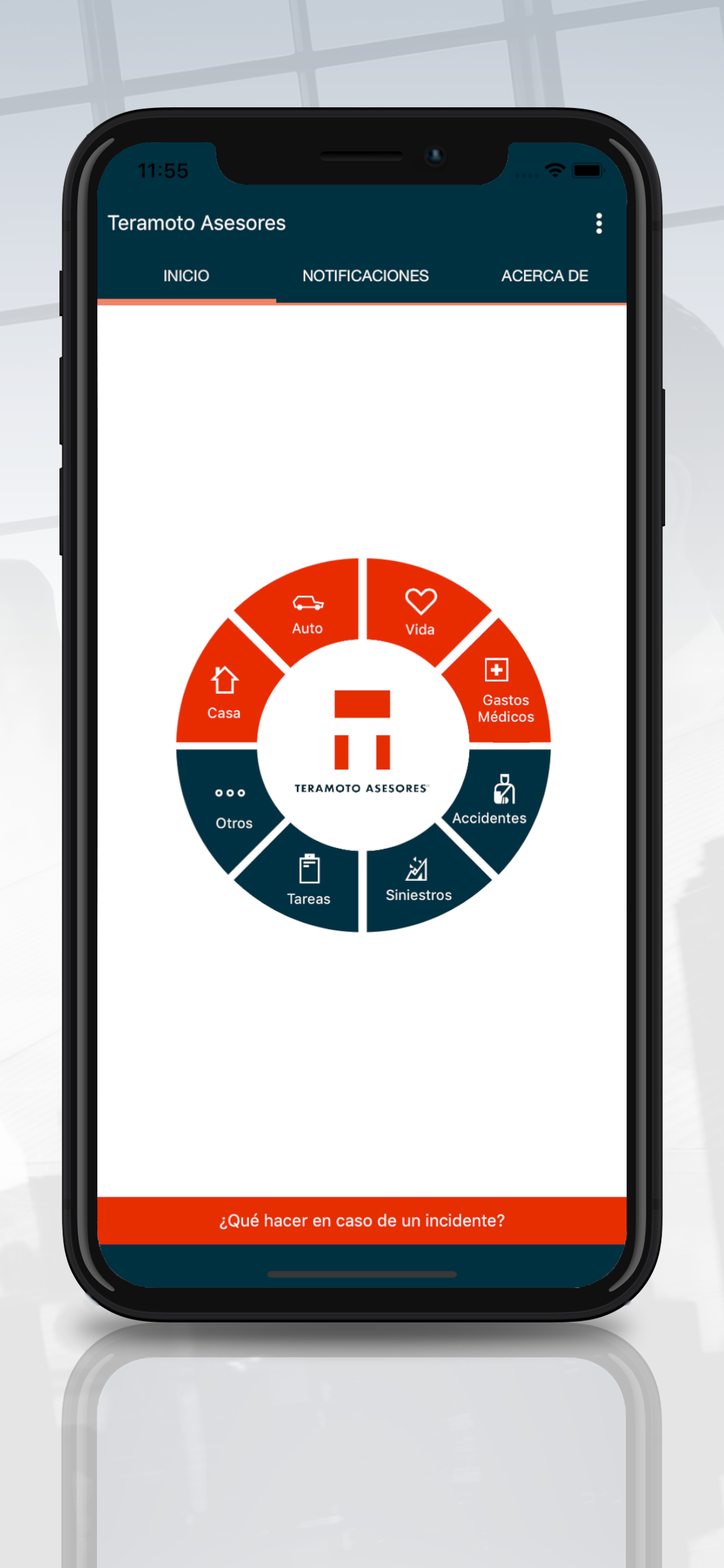 Teramoto Asesores screenshot 3