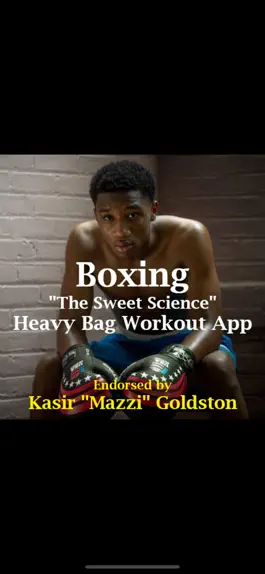 Game screenshot Boxing The Sweet Science mod apk