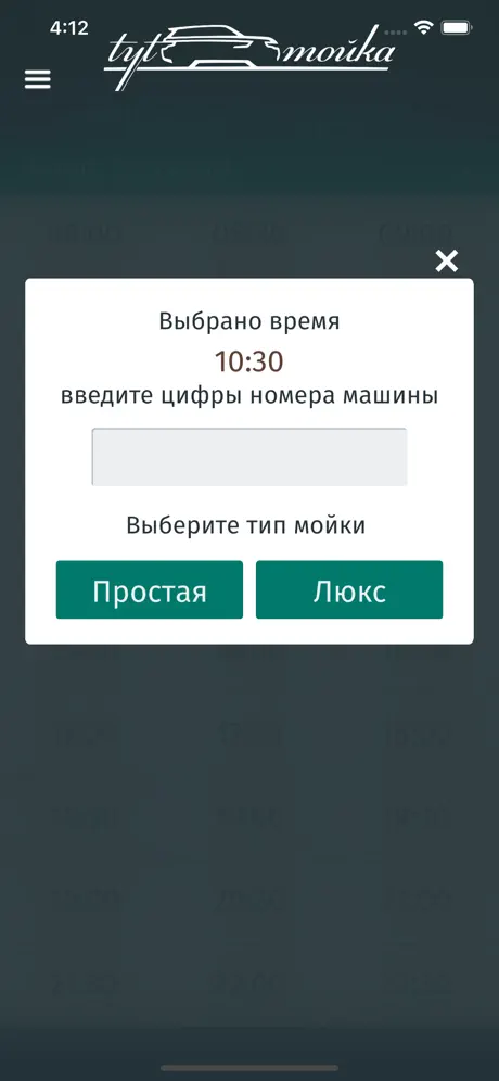 tyt_мойка
