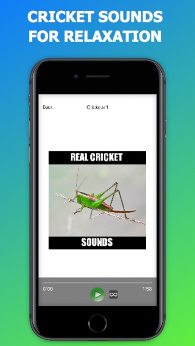 Screenshot #1 pour Cricket Sounds for Sleep