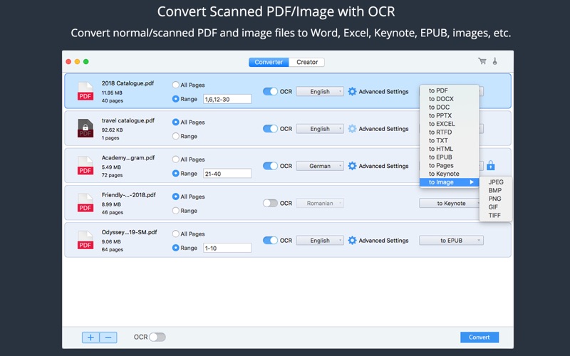 PDF Converter OCR