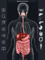 my digestive system anatomy ipad resimleri 2