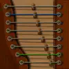 GuZheng problems & troubleshooting and solutions