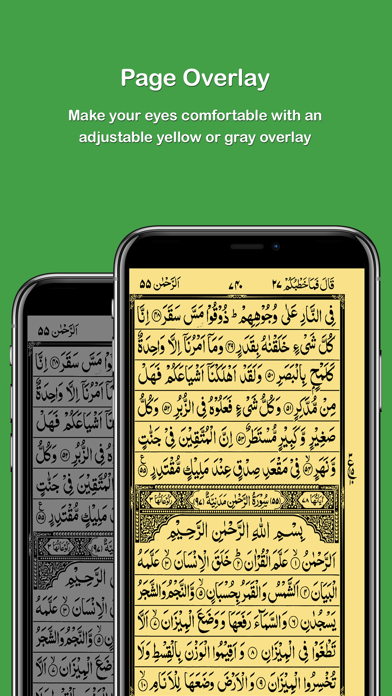 HOLY QURAN - القرآن الكريم‎ screenshot 3