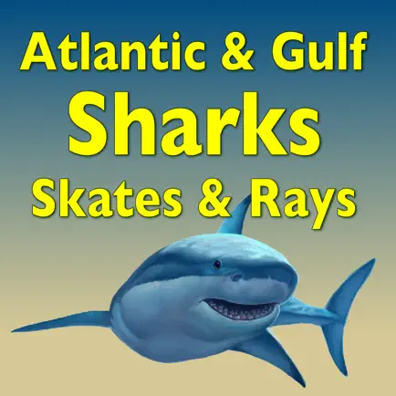 Sharks and Rays Читы