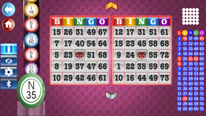 Bingo Set Screenshot