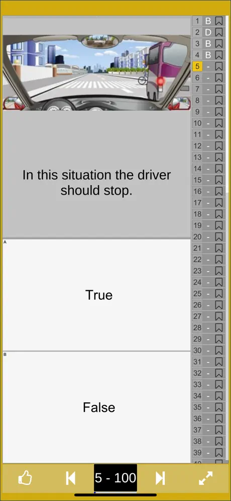 Chinese Driver's License