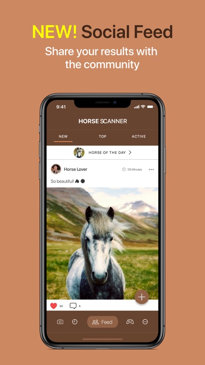 Horse Scanner screenshot-3
