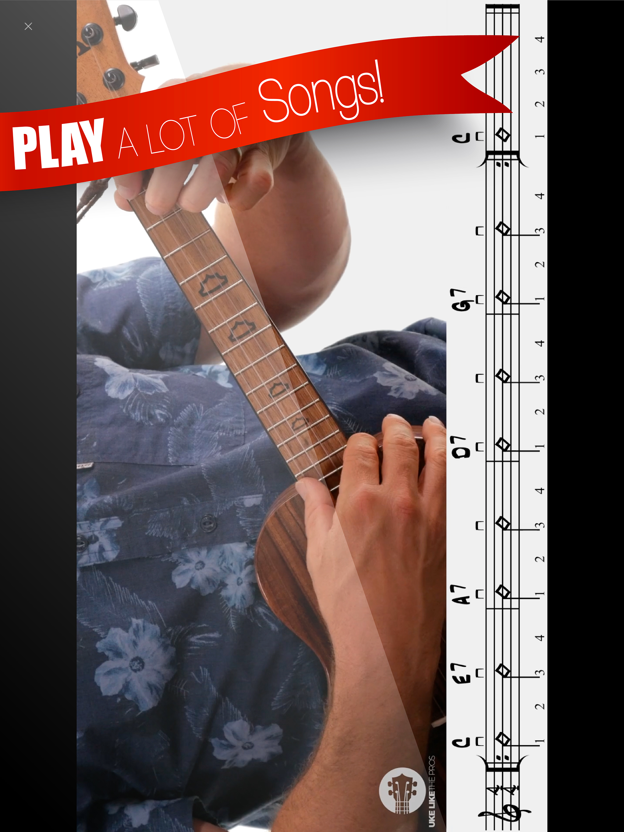 Ukulele Lessons For Beginners