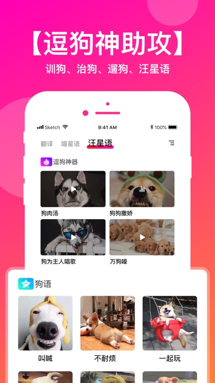 人猫狗语翻译器-猫咪狗狗交流