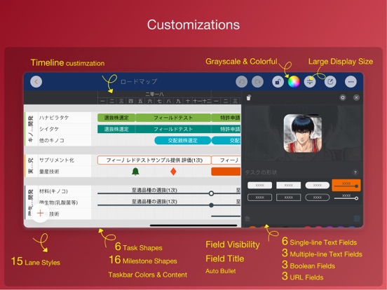 Roadmap - Timeline Plan Chart iPad screenshot 5 - Business app