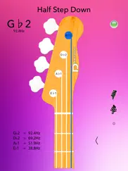 afinador de bajo ipad capturas de pantalla 3