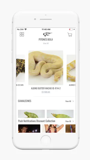 REPTILE TRADE screenshot 1