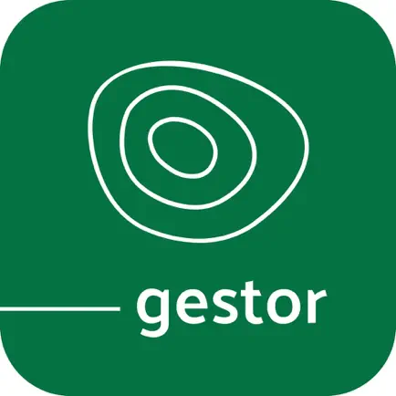 Micaza Gestor Читы