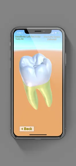 Game screenshot 3D Tooth Anatomy apk