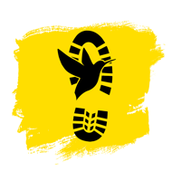 Caminhos de Trajano de Moraes