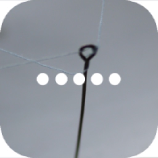 Words We Never Wrote