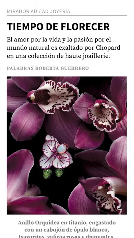 AD México screenshot 3 of 7