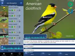 Bird Song Id USA songs & calls iPad image 1