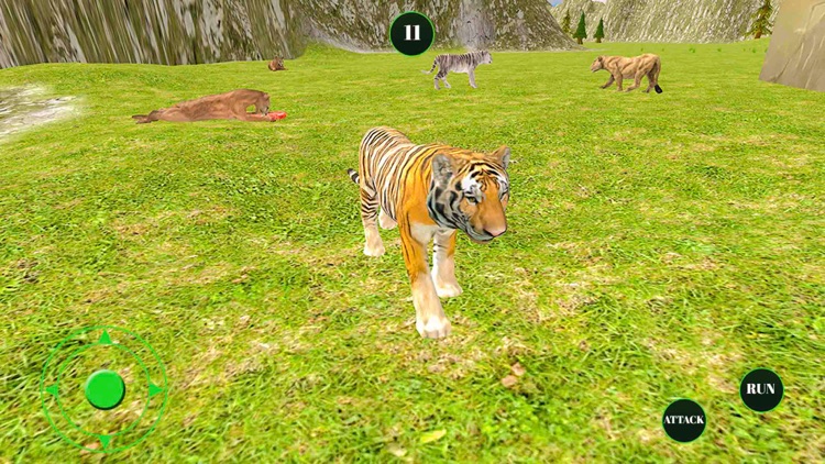 The Lion Forest Wild Animal