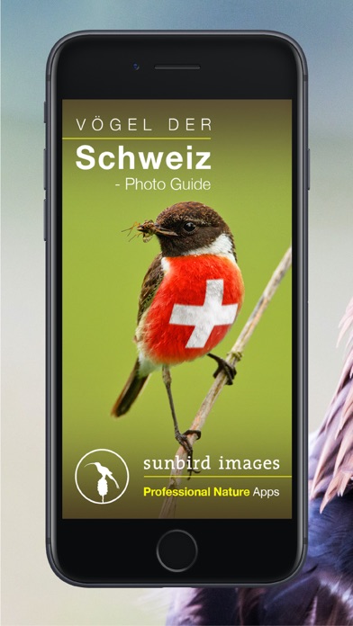 Screenshot #1 pour Vögel der Schweiz - Fotoguide