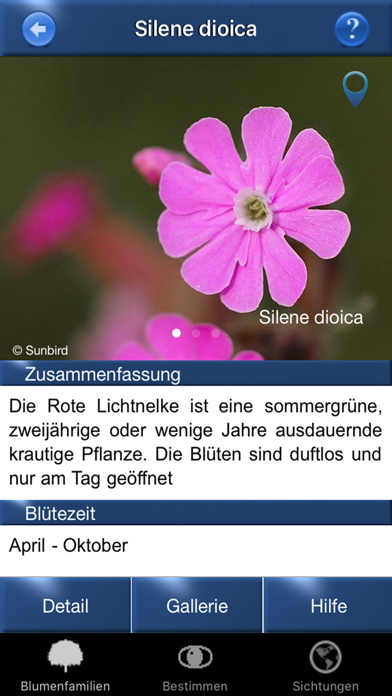 Alpenblumen Id Automatik Screenshot